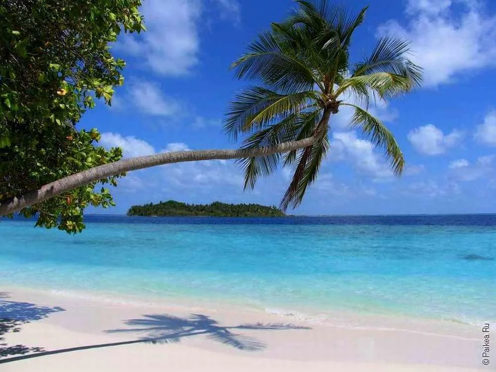 Недвижимость на мальдивах: маленькие острова в раю